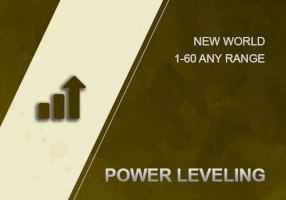 Level Boost ● Custom Range  New World 
