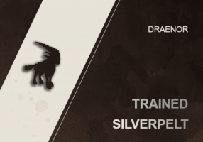 TRAINED SILVERPELT MOUNT  WOW SHADOWLANDS
